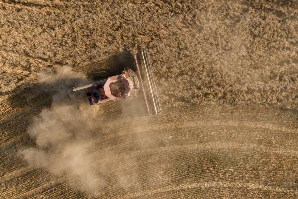 Header is harvesting grain in Central West NSW, aerial view - Australian Stock Image