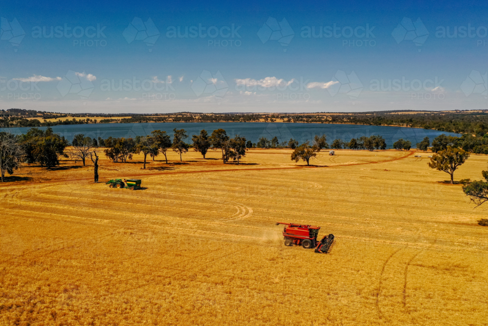 Headers harvest a barley paddock beside a lake - Australian Stock Image