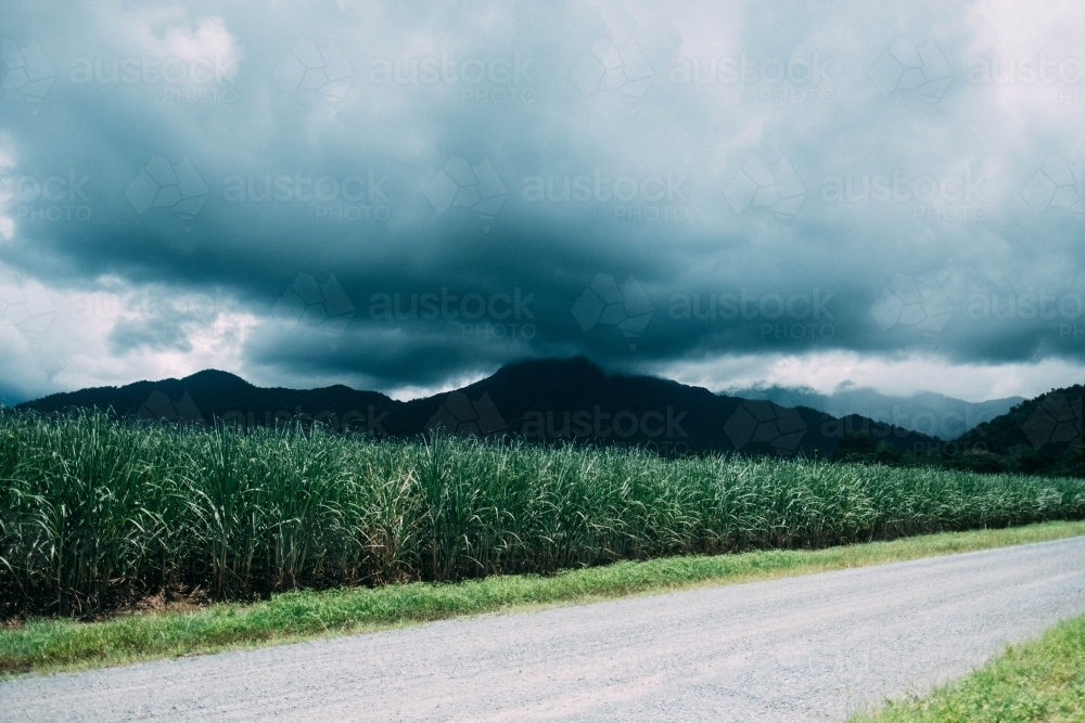 Heavy cloud over dark mountains behind crop paddock - Australian Stock Image