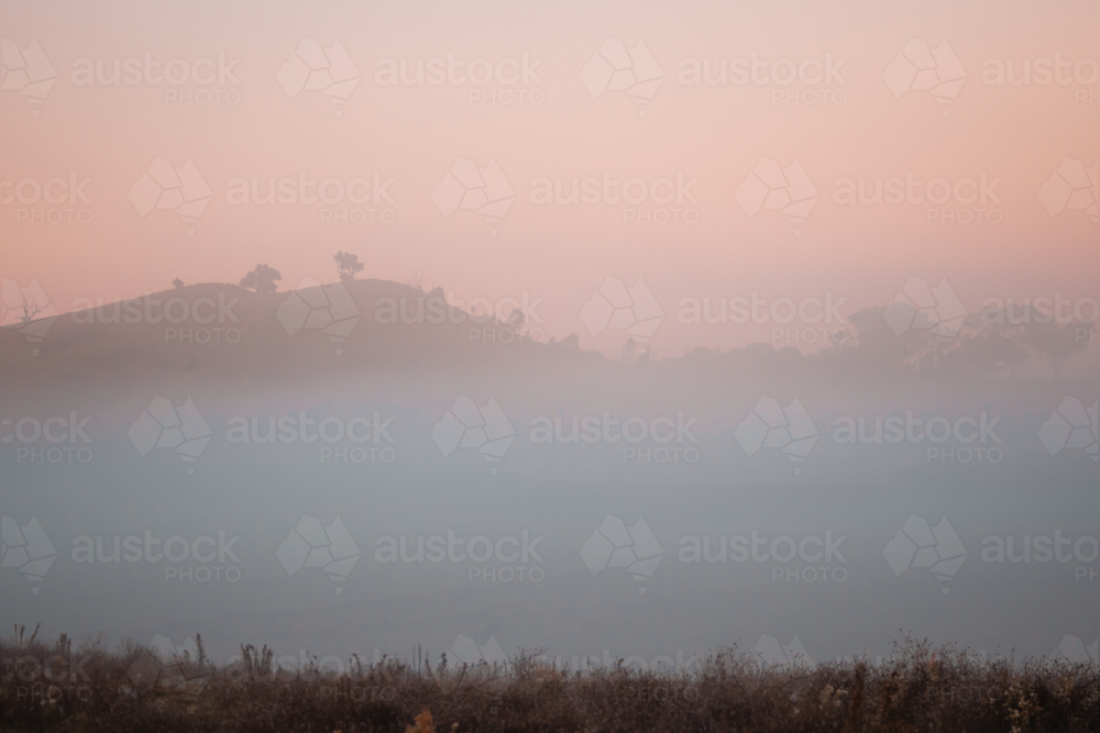 Heavy fog in rural Australian landscape at sunrise - Australian Stock Image