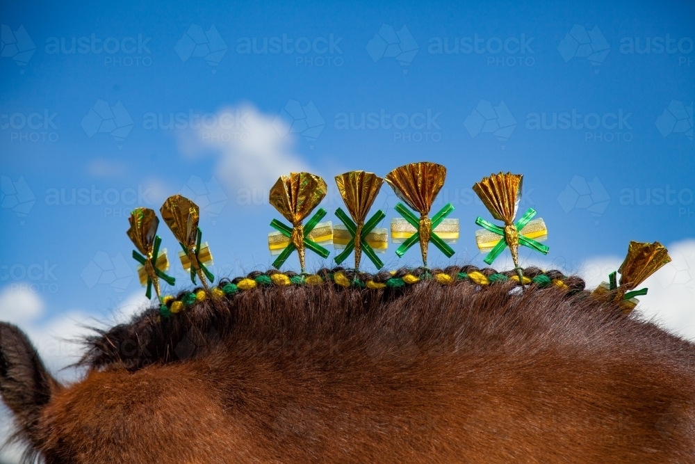 Heavy Horse all decked out for competition at the local show - Australian Stock Image