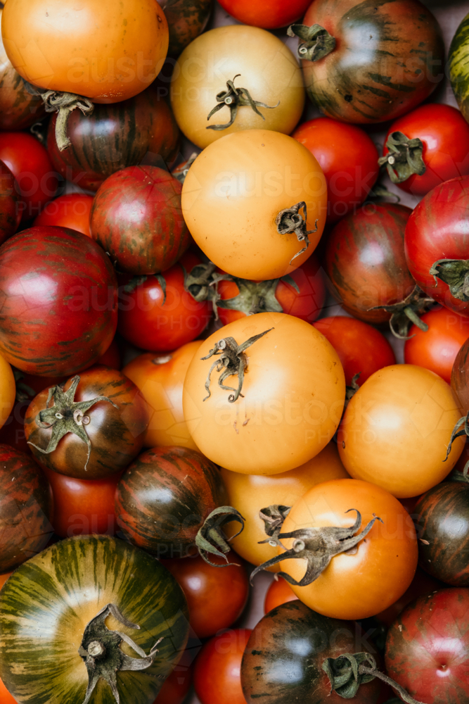 Heirloom tomatoes - Australian Stock Image