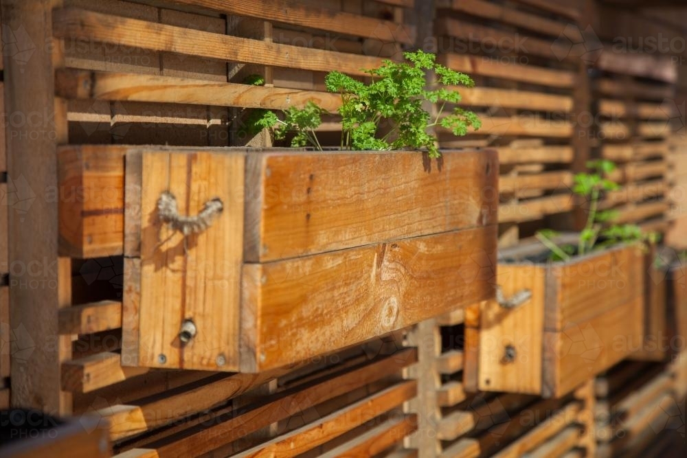 Herb garden in boxes on the wall - Australian Stock Image