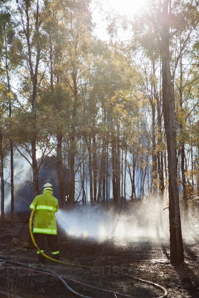 Heroic firefighter hosing out flames to contain bushfire - Australian Stock Image