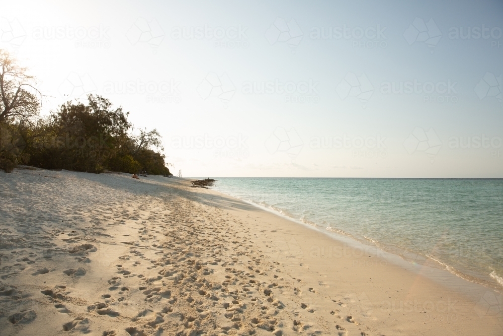 Heron Island beach in the late afternoon light - Australian Stock Image
