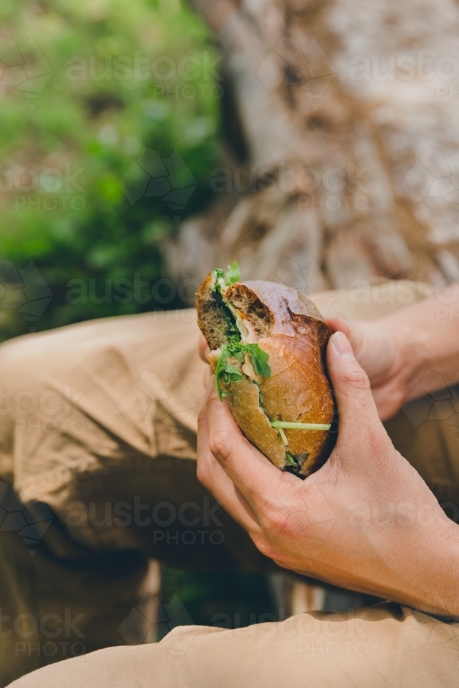 High angle of man eating bread roll sandwich, sitting on log in green park - Australian Stock Image