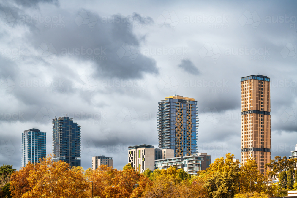 High rise hotels and student accommodation and apartment buildings in Adelaide city - Australian Stock Image