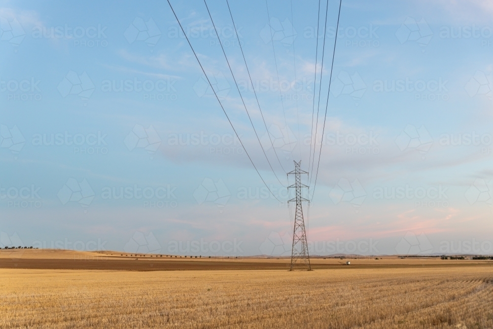 High voltage power lines in rural landscape - Australian Stock Image