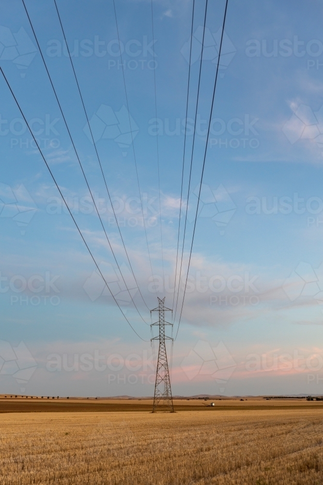 High voltage power lines in rural landscape - Australian Stock Image