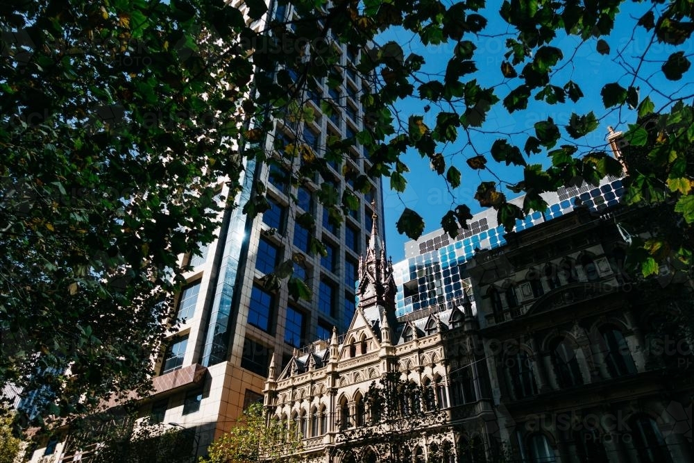 Highrise buildings and cathedral through leafy foreground - Australian Stock Image