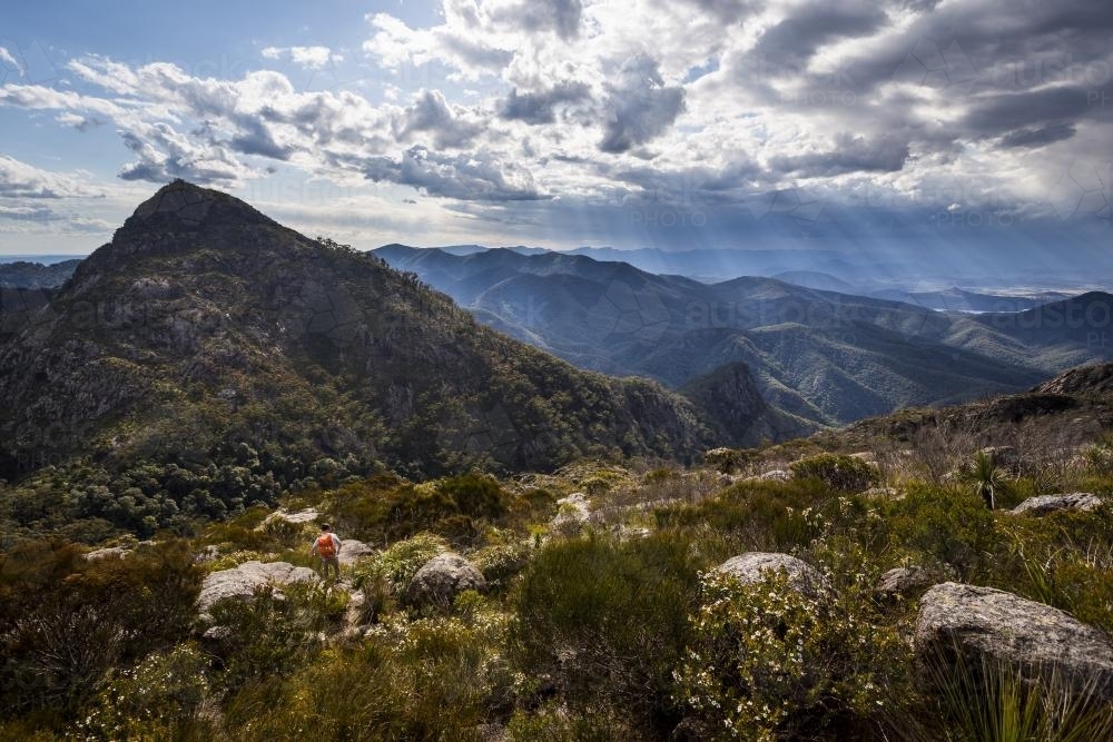 Hiking towards the saddle of Mount Barney - Australian Stock Image