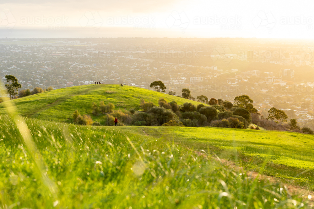 Hill overlooking Adelaide at sunset - Australian Stock Image