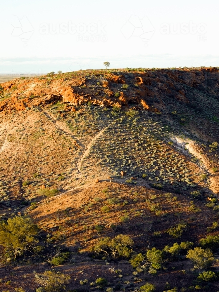 Hill with one tree at the breakaways - Australian Stock Image