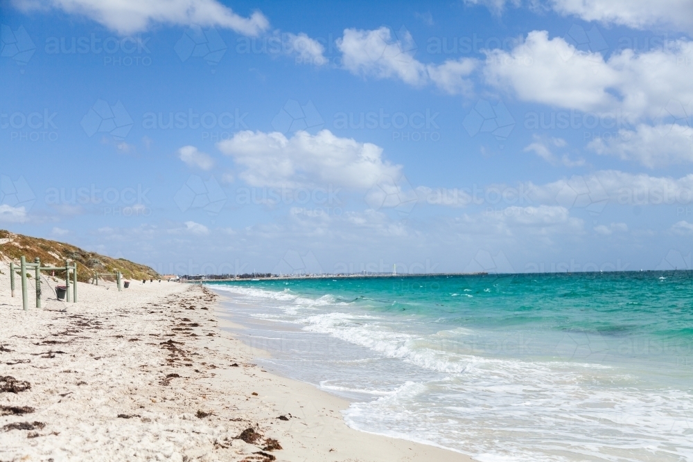Hillary's Animal Exercise beach on sunlit summer day - Australian Stock Image