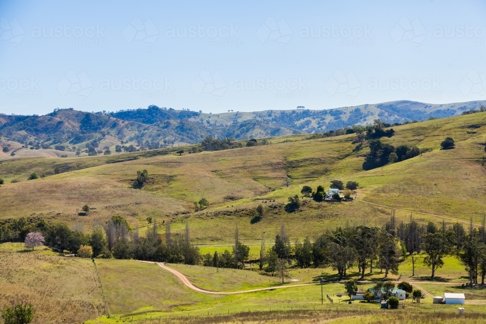 Hills and valley with farm houses in paddock - Australian Stock Image