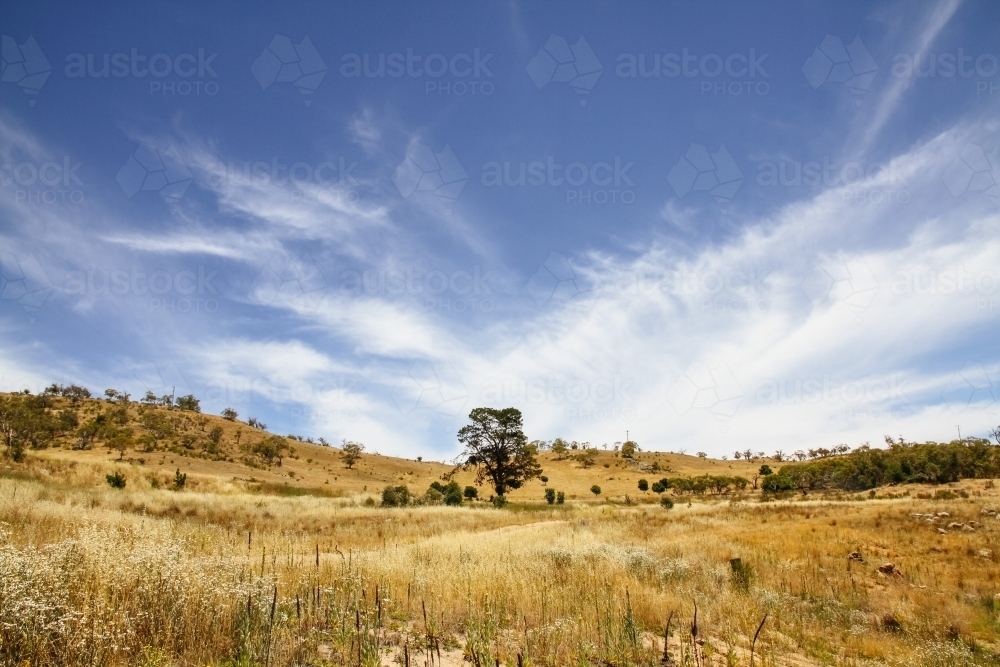 Hills of Lake Jindabyne - Australian Stock Image