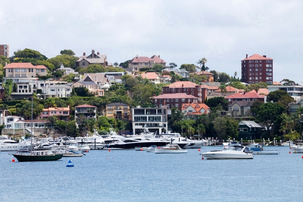 hillside residential area across harbour view - Australian Stock Image