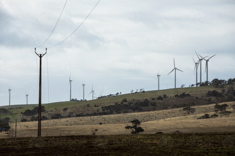 Hillside with wind turbines and power lines on a n overcast day. - Australian Stock Image