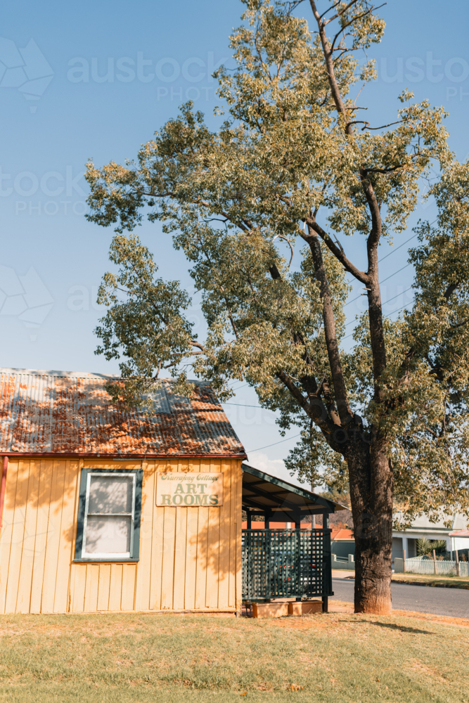 Historic miners cottage from the gold rush era with large gum tree - Australian Stock Image