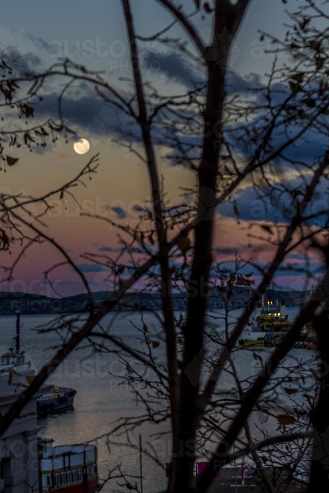 Hobart Wharf Sunset and Moonrise through Trees - Australian Stock Image