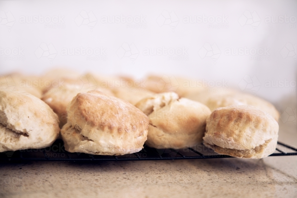 Home made scones cooling on a rack - Australian Stock Image