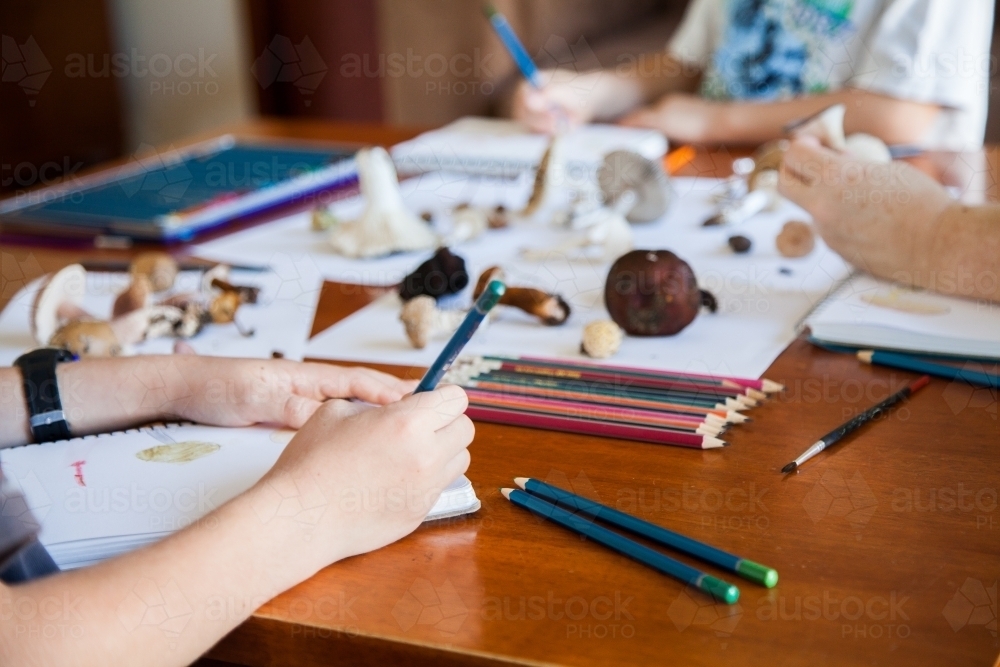 Home-schooled children drawing fungi in nature journals - Australian Stock Image
