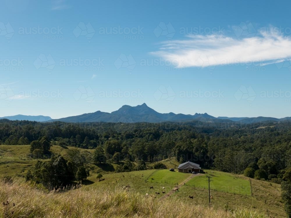 Homestead on farmland surrounded by trees with mountains in the background - Australian Stock Image