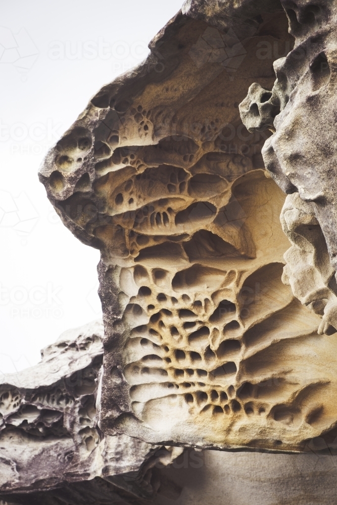 Honeycomb weathering on cliff at Bondi Beach - Australian Stock Image