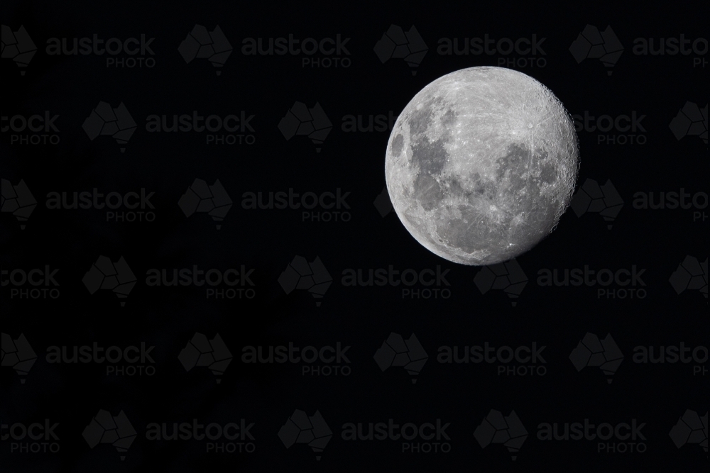 horizontal close up shot of a full moon - Australian Stock Image