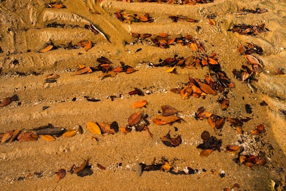 Horizontal ripples of beach sand with brown and orange leaf litter - Australian Stock Image