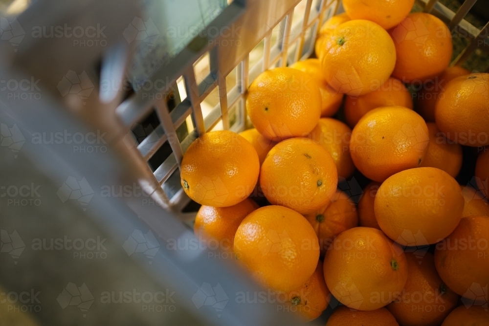 Horizontal shot of a basket of oranges - Australian Stock Image