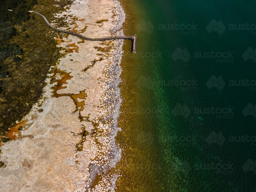 horizontal  shot of a beach walkway with bushes, trees and waves on a sunny day - Australian Stock Image