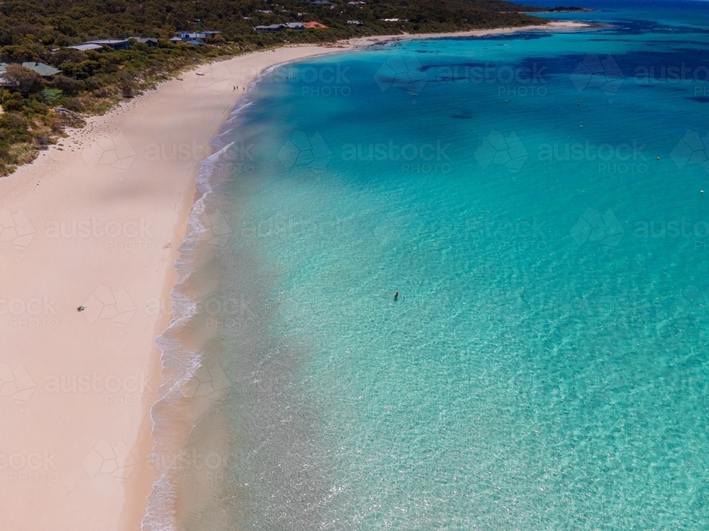 horizontal shot of a beach with a person swimming, white sand shoreline and bushes on a sunny day - Australian Stock Image