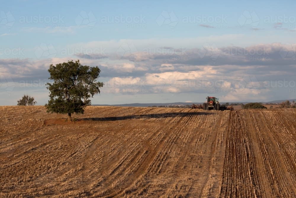 horizontal shot of a field for planting crops with a tractor and a tree on a sunny day - Australian Stock Image