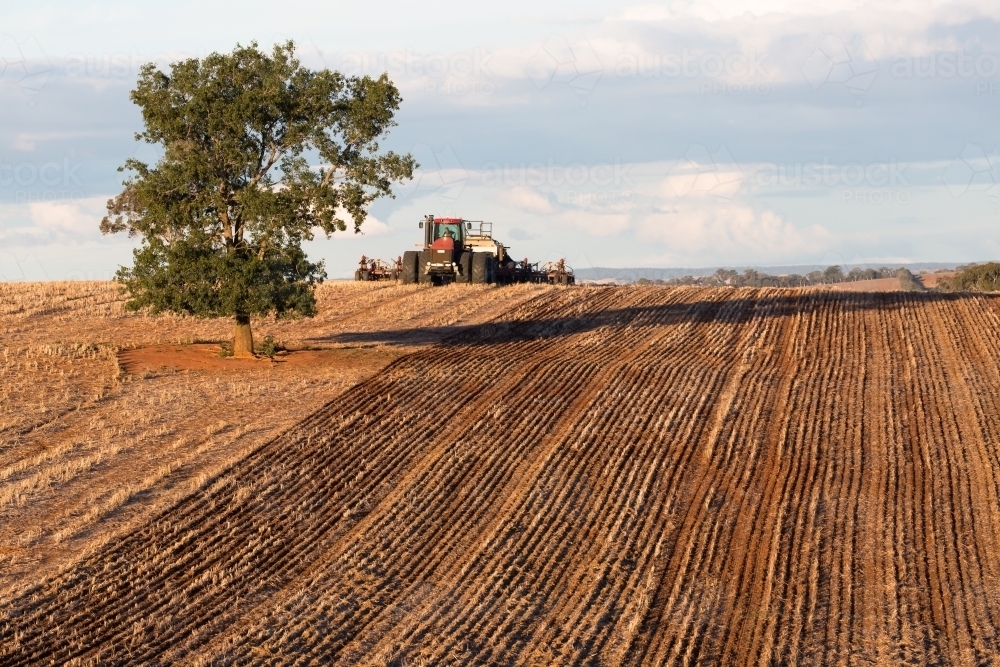 horizontal shot of a field for planting crops with a tractor and a tree on a sunny day - Australian Stock Image