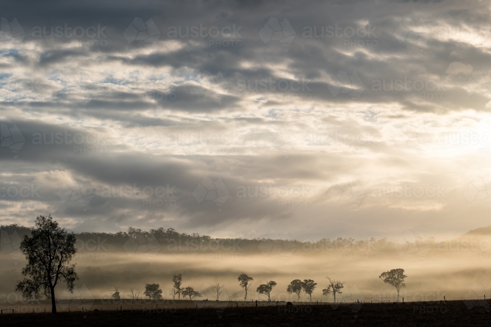 Horizontal shot of a foggy mountain field at sunrise - Australian Stock Image