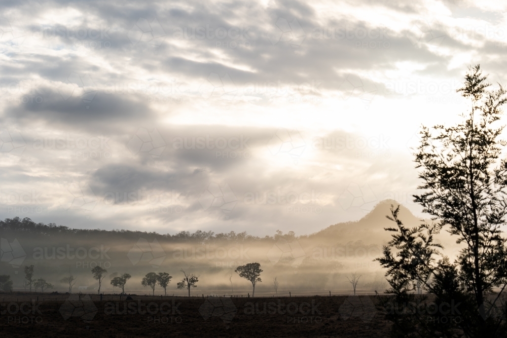Horizontal shot of a foggy mountain field at sunrise - Australian Stock Image