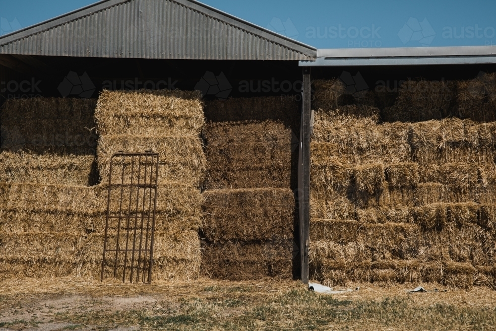 Horizontal shot of a Hay Bales stored in a shed on rural property - Australian Stock Image