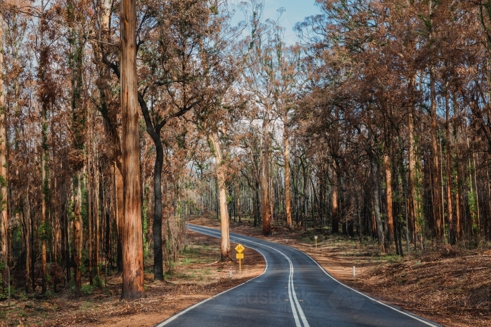 Horizontal shot of a highway along forest trees - Australian Stock Image