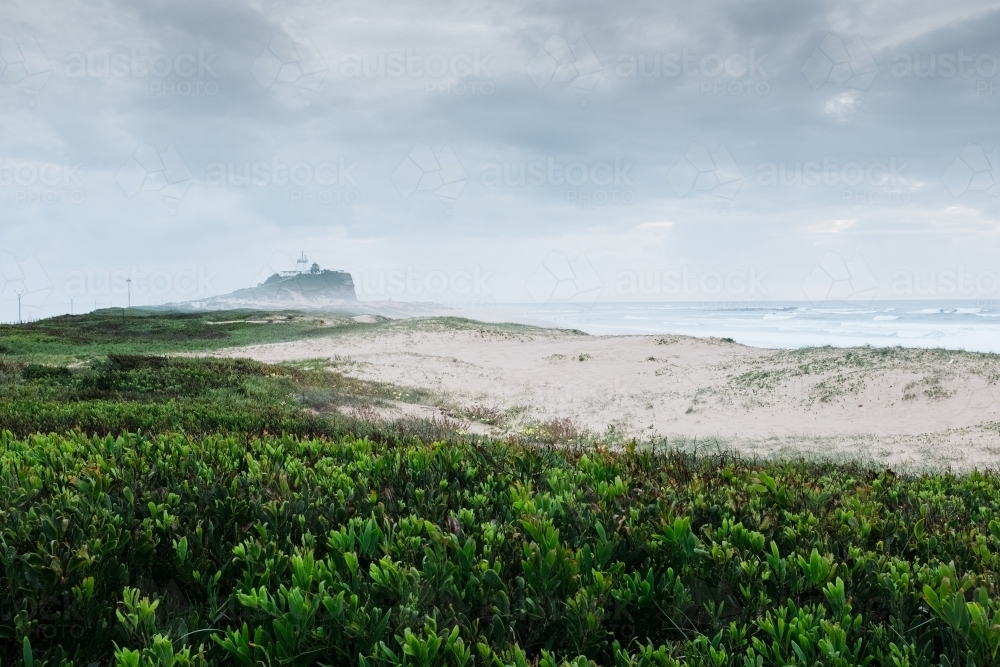 horizontal shot of a misty remote beach park with shrubs and white sand on a cloudy day - Australian Stock Image