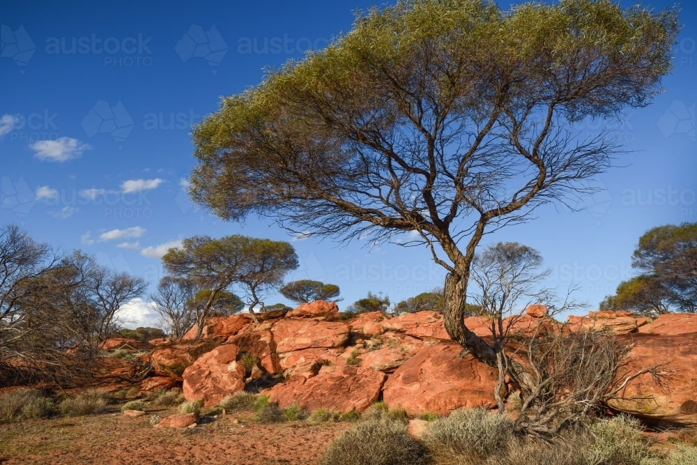 Horizontal shot of a pile of big rocks and trees - Australian Stock Image