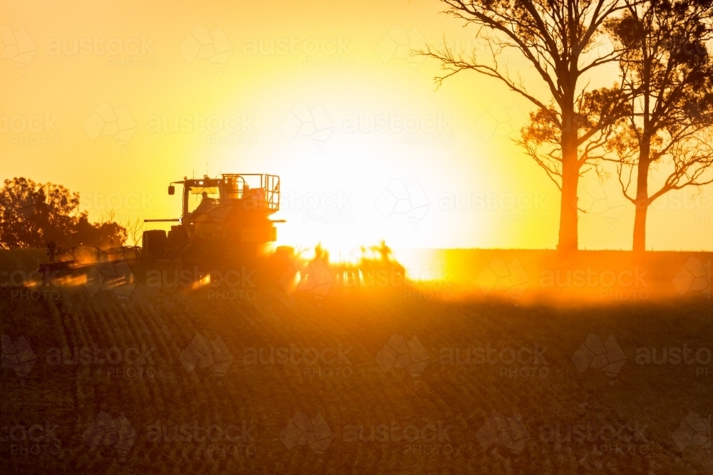 horizontal shot of a silhouette of a tractor, shrubs and two trees with a sunset in the background - Australian Stock Image