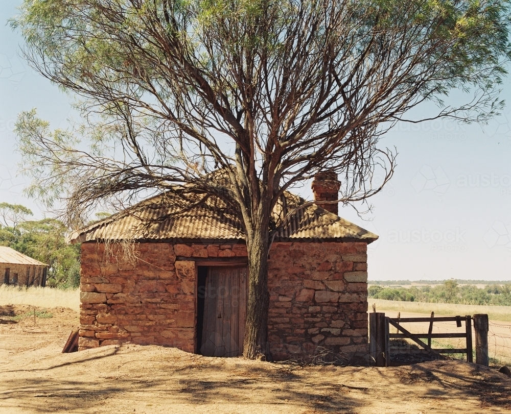 Horizontal shot of a tree with a stone house behind it - Australian Stock Image