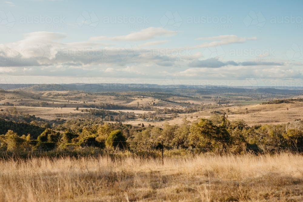 Horizontal shot of a trees and mountains - Australian Stock Image