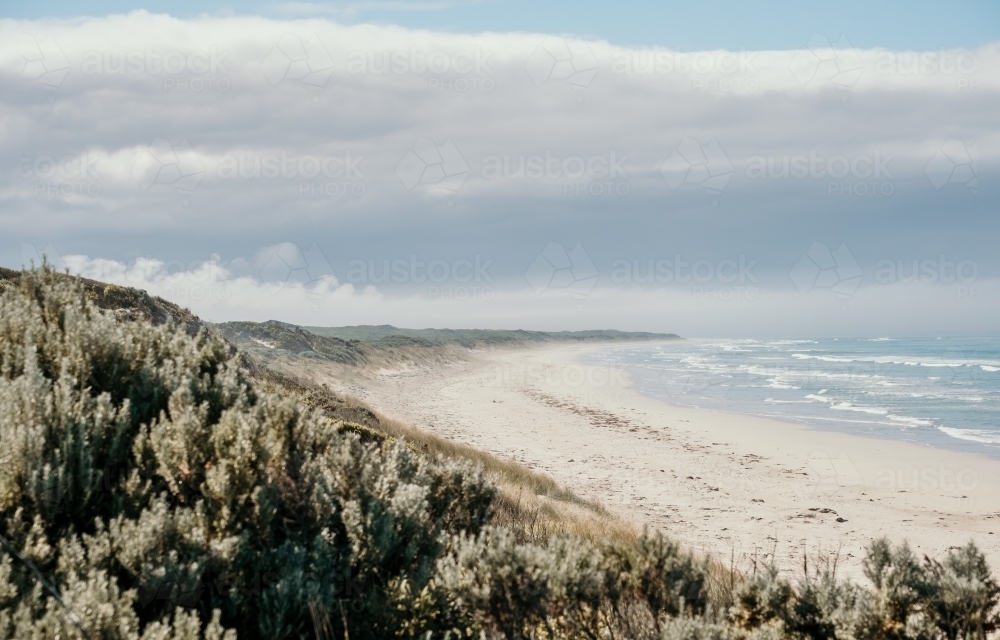 Horizontal shot of an ocean view - Australian Stock Image