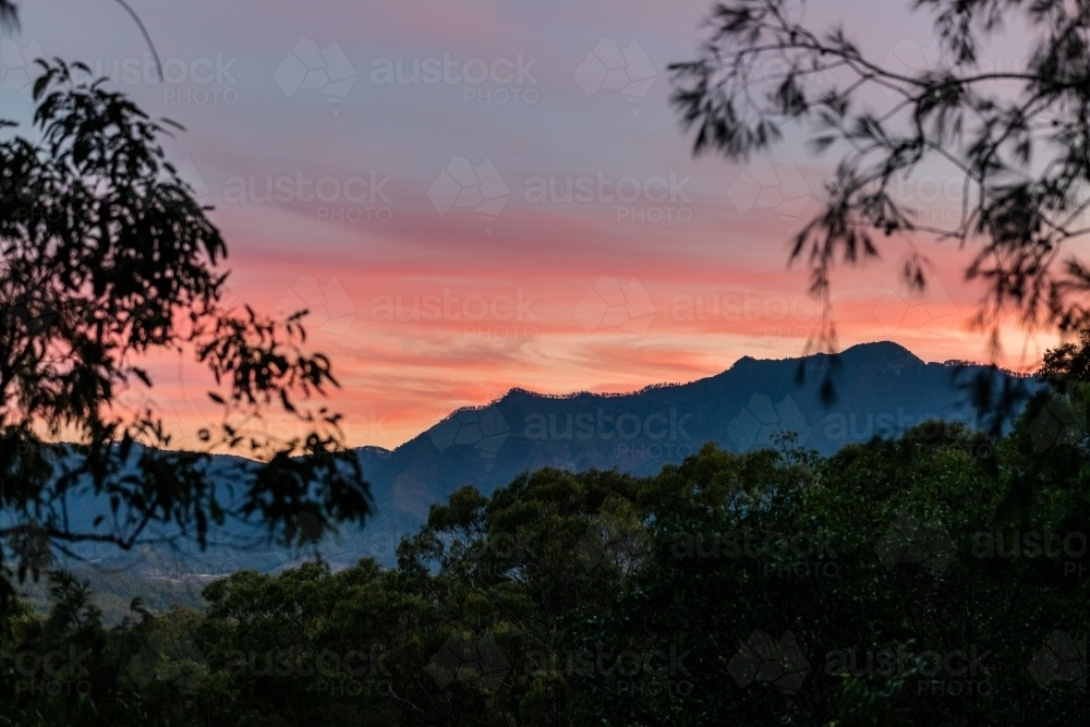 Horizontal shot of trees with mountain background under pink skies - Australian Stock Image