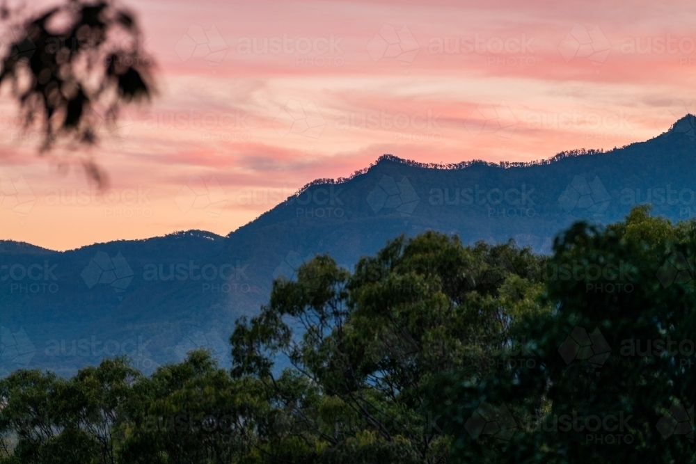 Horizontal shot of trees with mountain background under pink skies - Australian Stock Image