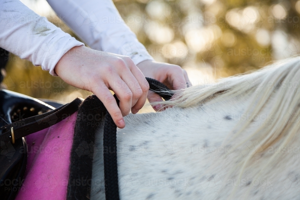 Image of Horse rider holding the reins of her horse Austockphoto