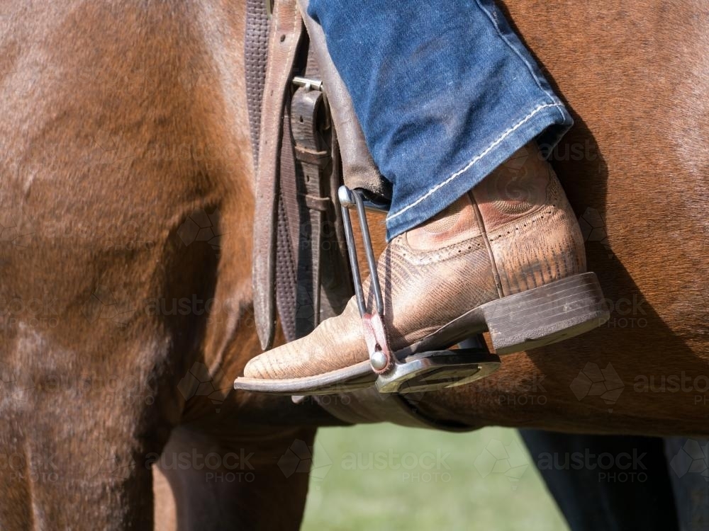 Horse riding boots in a stirrup - Australian Stock Image
