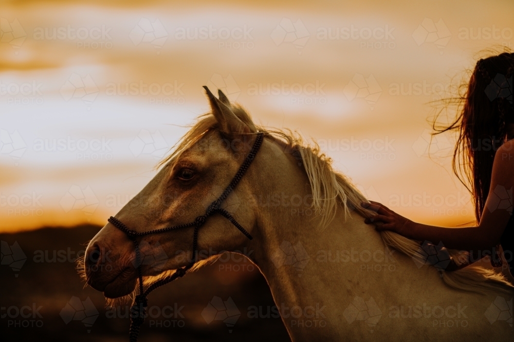 Horse riding on beach - Australian Stock Image